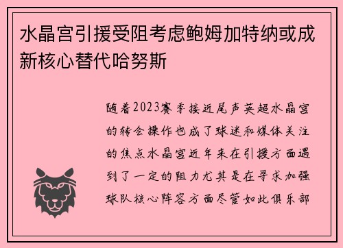 水晶宫引援受阻考虑鲍姆加特纳或成新核心替代哈努斯
